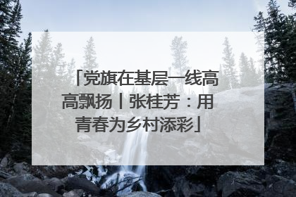 党旗在基层一线高高飘扬丨张桂芳：用青春为乡村添彩
