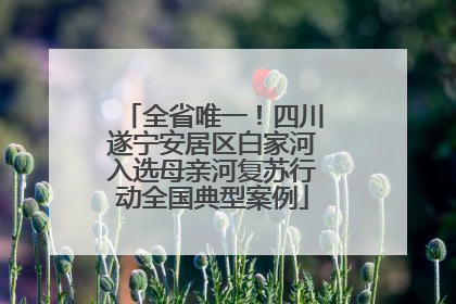 全省唯一！四川遂宁安居区白家河入选母亲河复苏行动全国典型案例