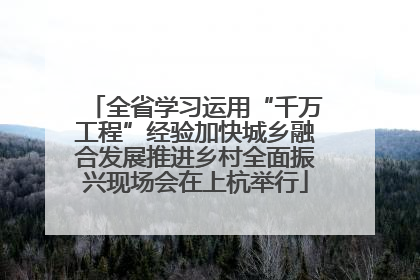 全省学习运用“千万工程”经验加快城乡融合发展推进乡村全面振兴现场会在上杭举行