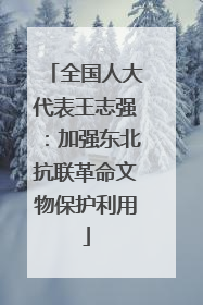 全国人大代表王志强：加强东北抗联革命文物保护利用