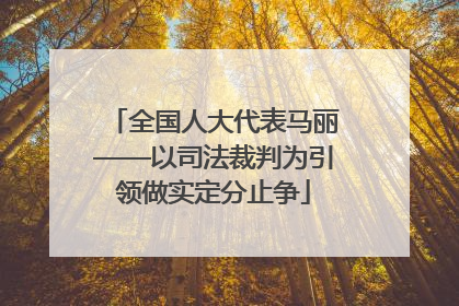 全国人大代表马丽——以司法裁判为引领做实定分止争