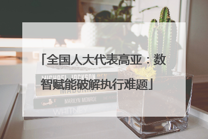 全国人大代表高亚：数智赋能破解执行难题