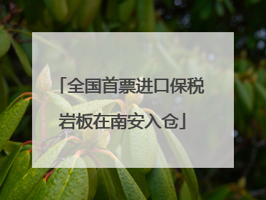 全国首票进口保税岩板在南安入仓