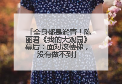 全身都是淤青！陈丽君《我的大观园》幕后：面对滚楼梯，没有做不到