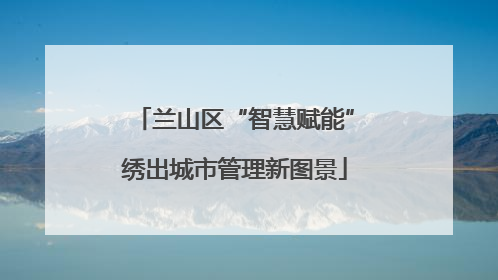 兰山区“智慧赋能”绣出城市管理新图景