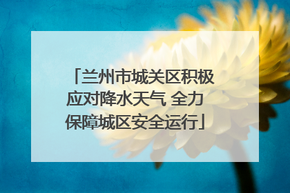 兰州市城关区积极应对降水天气 全力保障城区安全运行