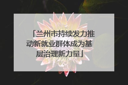 兰州市持续发力推动新就业群体成为基层治理新力量