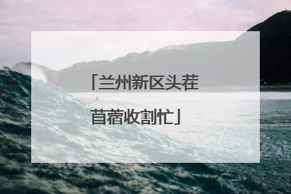 兰州新区头茬苜蓿收割忙