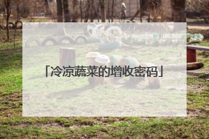冷凉蔬菜的增收密码