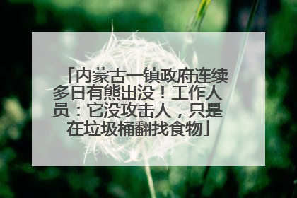 内蒙古一镇政府连续多日有熊出没！工作人员：它没攻击人，只是在垃圾桶翻找食物