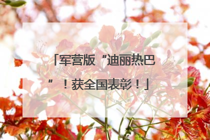 军营版“迪丽热巴”！获全国表彰！