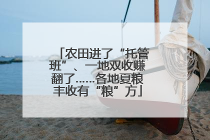 农田进了“托管班”、一地双收赚翻了……各地夏粮丰收有“粮”方