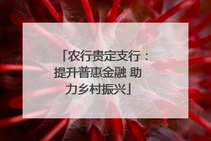 农行贵定支行：提升普惠金融 助力乡村振兴