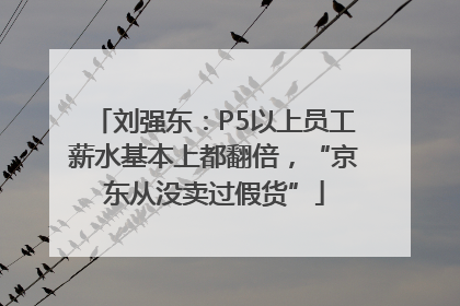 刘强东：P5以上员工薪水基本上都翻倍，“京东从没卖过假货”