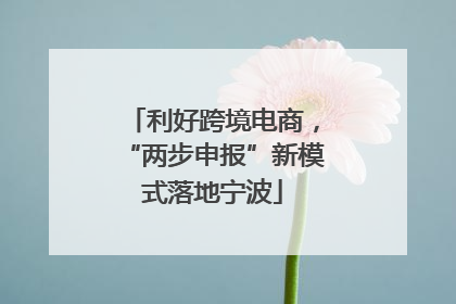 利好跨境电商，“两步申报”新模式落地宁波