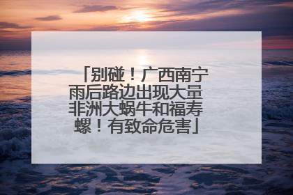 别碰！广西南宁雨后路边出现大量非洲大蜗牛和福寿螺！有致命危害