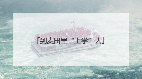 到麦田里“上学”去