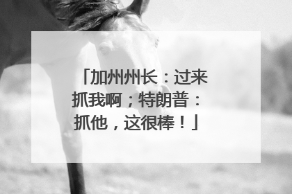 加州州长：过来抓我啊；特朗普：抓他，这很棒！