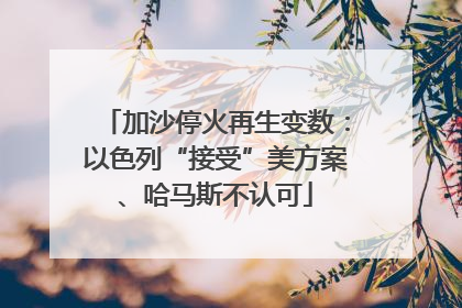 加沙停火再生变数：以色列“接受”美方案、哈马斯不认可