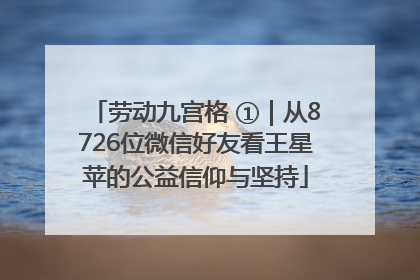 劳动九宫格 ①｜从8726位微信好友看王星苹的公益信仰与坚持