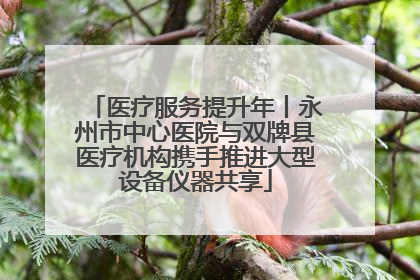 医疗服务提升年丨永州市中心医院与双牌县医疗机构携手推进大型设备仪器共享