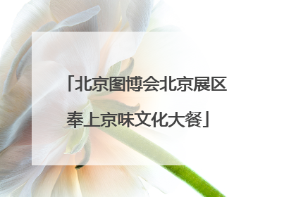 北京图博会北京展区奉上京味文化大餐