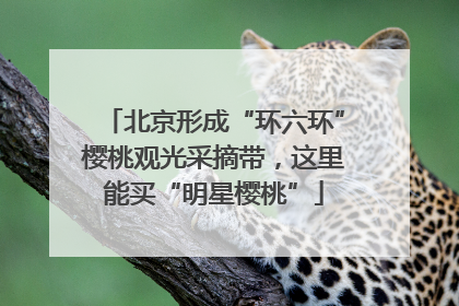 北京形成“环六环”樱桃观光采摘带，这里能买“明星樱桃”