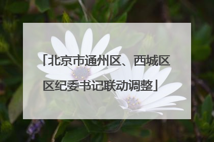 北京市通州区、西城区区纪委书记联动调整