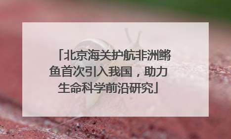 北京海关护航非洲鳉鱼首次引入我国，助力生命科学前沿研究