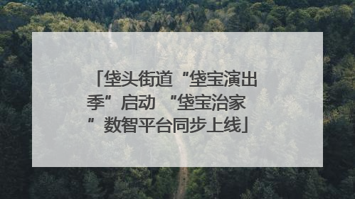 垡头街道“垡宝演出季”启动 “垡宝治家”数智平台同步上线