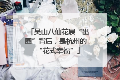 吴山八仙花展“出圈”背后，是杭州的“花式幸福”