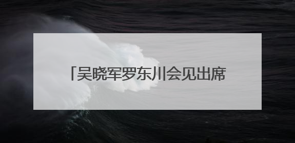 吴晓军罗东川会见出席青洽会的国内外嘉宾