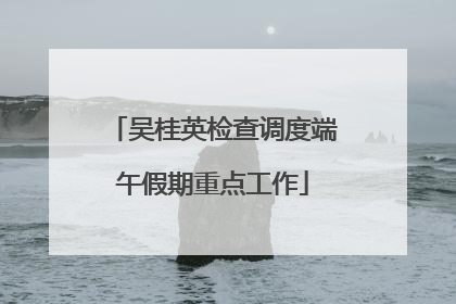 吴桂英检查调度端午假期重点工作
