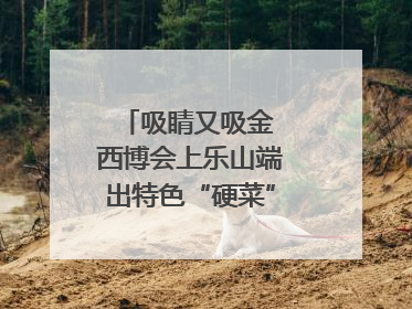 吸睛又吸金 西博会上乐山端出特色“硬菜”｜西博视界