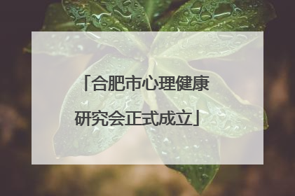 合肥市心理健康研究会正式成立