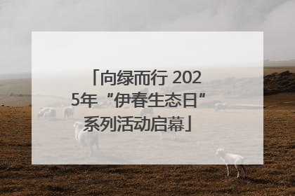 向绿而行 2025年“伊春生态日”系列活动启幕