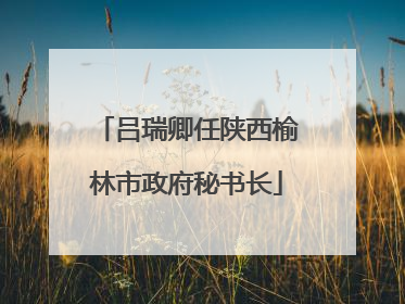 吕瑞卿任陕西榆林市政府秘书长