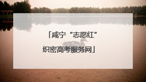 咸宁“志愿红”织密高考服务网