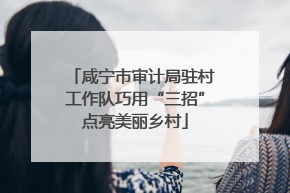 咸宁市审计局驻村工作队巧用“三招”点亮美丽乡村