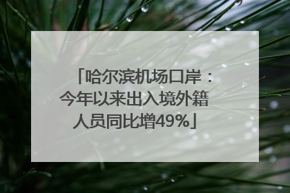 哈尔滨机场口岸：今年以来出入境外籍人员同比增49%