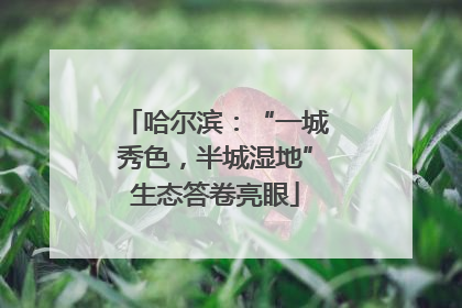 哈尔滨：“一城秀色，半城湿地”生态答卷亮眼