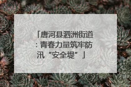 唐河县泗洲街道：青春力量筑牢防汛“安全堤”