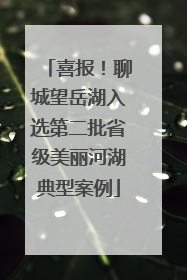 喜报！聊城望岳湖入选第二批省级美丽河湖典型案例
