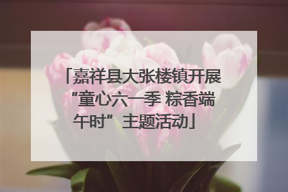 嘉祥县大张楼镇开展“童心六一季 粽香端午时”主题活动