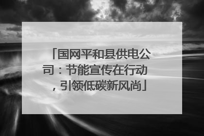 国网平和县供电公司：节能宣传在行动，引领低碳新风尚
