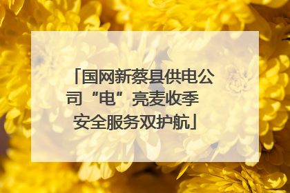 国网新蔡县供电公司“电”亮麦收季 安全服务双护航