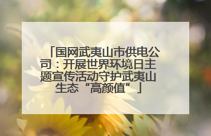 国网武夷山市供电公司：开展世界环境日主题宣传活动守护武夷山生态“高颜值”