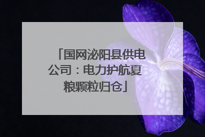 国网泌阳县供电公司：电力护航夏粮颗粒归仓