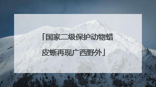国家二级保护动物蜡皮蜥再现广西野外