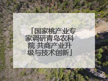 国家桃产业专家调研青岛农科院 共商产业升级与技术创新